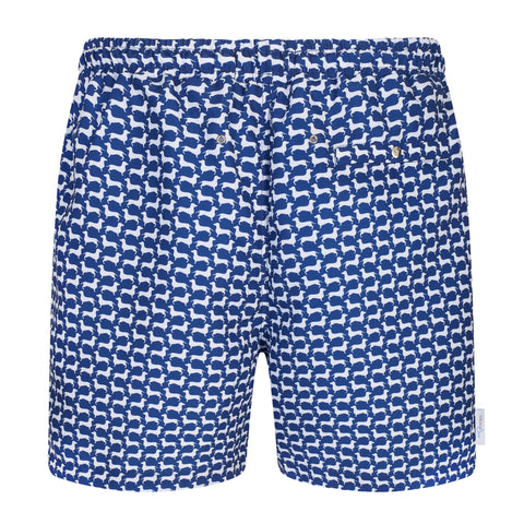 Dachshund Small Print Swim Shorts