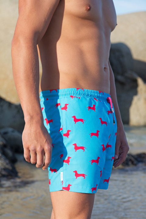 Dachshund Sky Blue and Pink Swim Shorts