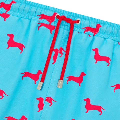 Dachshund print men's swim shorts trunks swimwear