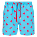 French Bulldog print men's swim shorts trunks swimwear