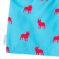 French Bulldog boys swim shorts trunks swimwear